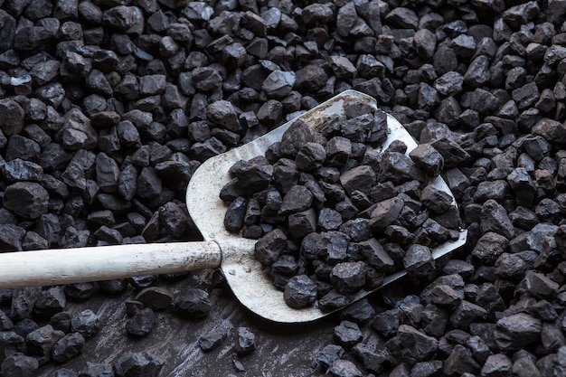 coal